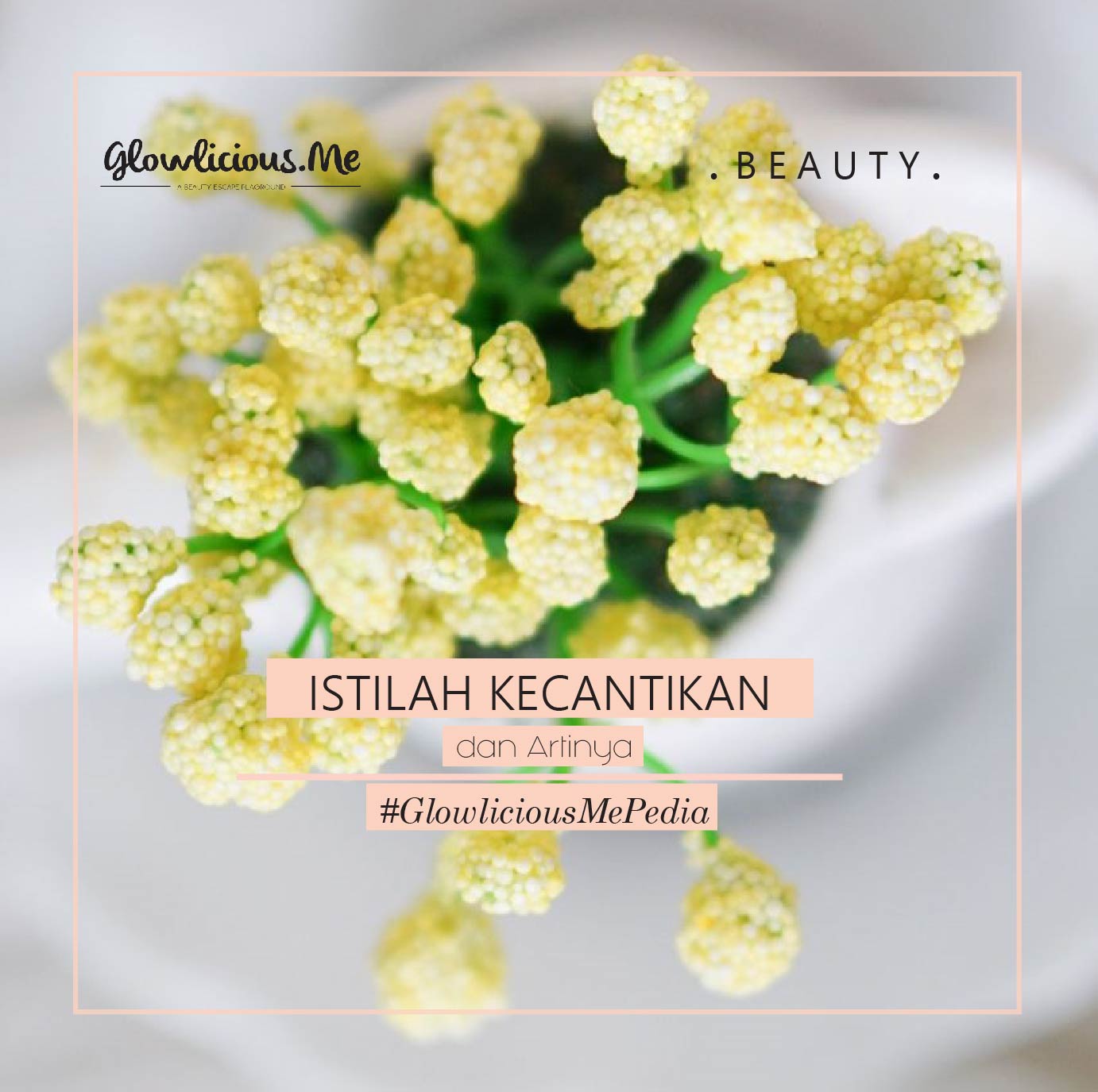 Istilah Kecantikan dan Artinya