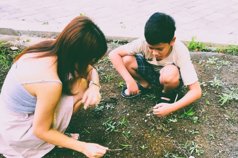 IRT Daily Vlog Bali Menikmati Sunset Berkebun SLOW LIVING BALI VLOG v