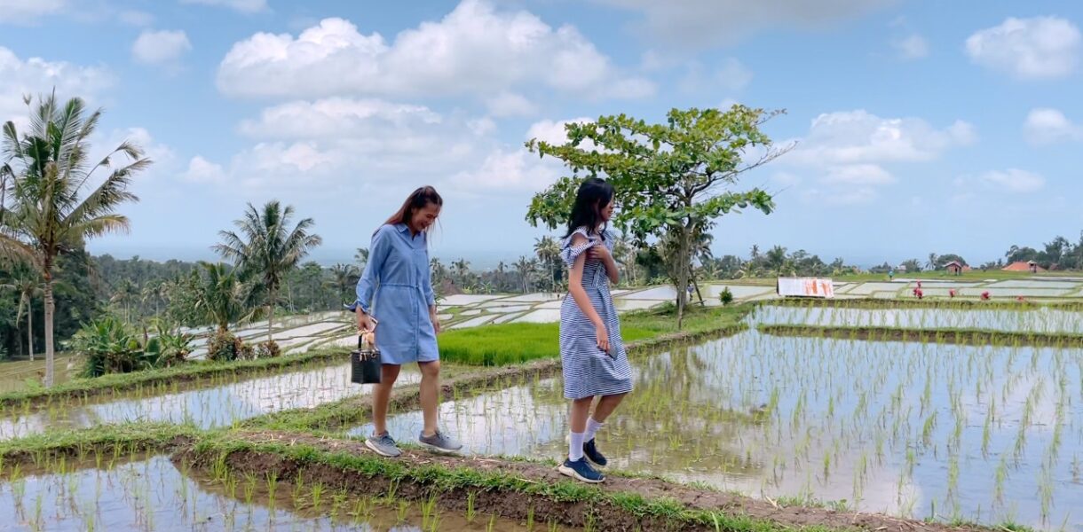 Nyeduh Kopi di Subak Piak 7rban Estetik di Tengah Sawah IRT Healing Murmer BALI VLOG b