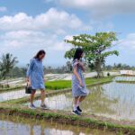 Nyeduh Kopi di Subak Piak 7rban Estetik di Tengah Sawah IRT Healing Murmer BALI VLOG b