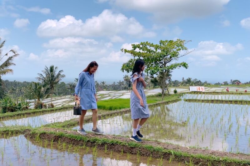 Nyeduh Kopi di Subak Piak 7rban Estetik di Tengah Sawah IRT Healing Murmer BALI VLOG b