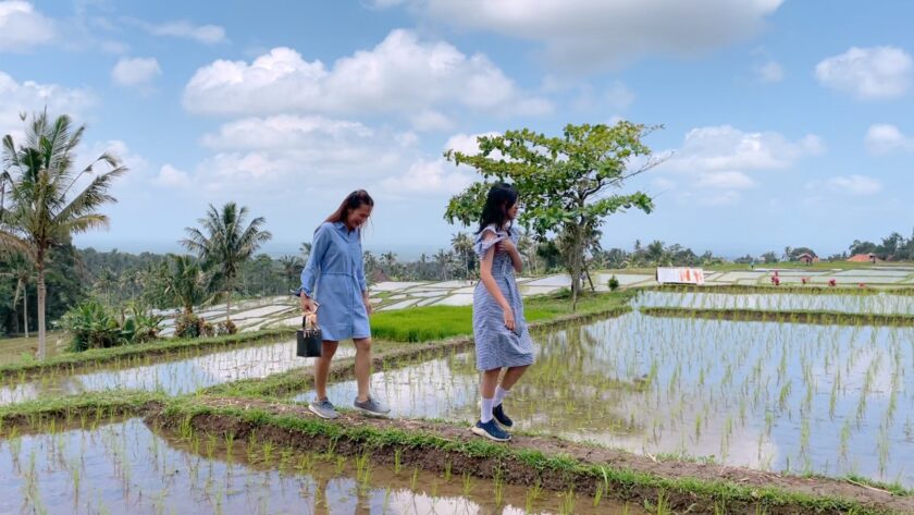Nyeduh Kopi di Subak Piak 7rban Estetik di Tengah Sawah IRT Healing Murmer BALI VLOG b