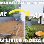 Step by Step Menanam Rumput Jepang di Rumah Baru - Bali Slow Living Vibes