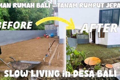 Step by Step Menanam Rumput Jepang di Rumah Baru - Bali Slow Living Vibes